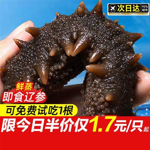 大连即食海参鲜活辽参官方经营店野生刺参淡干海渗独立包装袋一斤