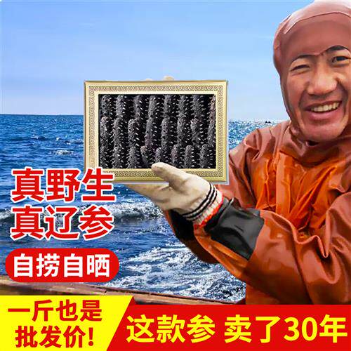 老獐9年野生海参干货大连辽参淡干深海渗非即食500克特价海参礼盒