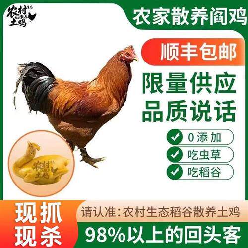 农家新鲜土鸡老母鸡家养阉鸡纯种散养正宗本地皮脆肉香生态 鸡