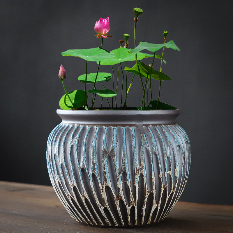 紫砂大号缸莲花专用陶瓷水培铜钱草花盆无孔水养睡Z莲碗莲盆缸