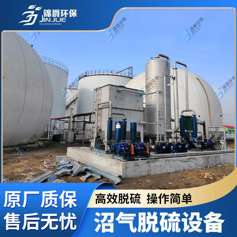 沼气脱硫净化厌氧发酵沼气脱硫设备增压泵过滤器家用沼气调控脱硫