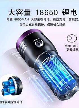 1黑镜紫光20W荧大率65nm紫光光功检测照子猫癣灯蝎紫外线鉴定紫光