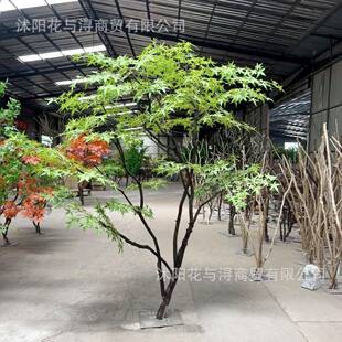 爪真绿枫树鸡槭醉马木橱窗大型仿生植物装饰假树888落地橱窗摆仿