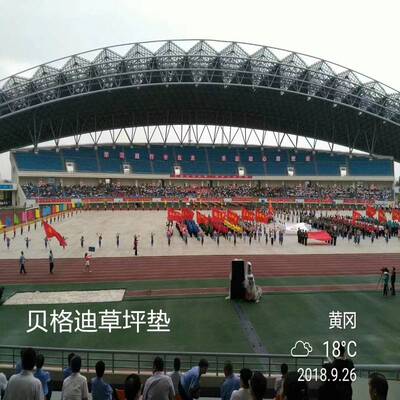 大型演唱会音乐节拼装式草坪保护板护草地板草坪护板草地护板地垫