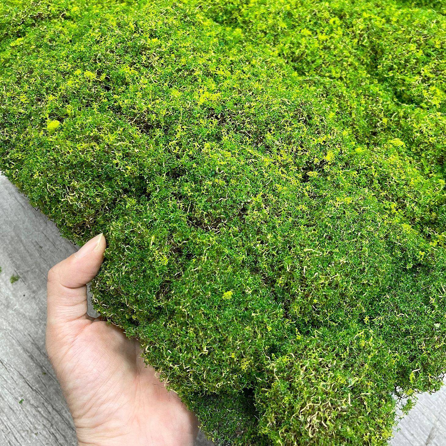 泓光仿真苔人藓草皮植毛假青苔坪草植物墙配材室内景观绿化98601