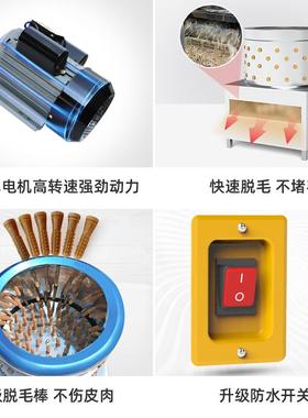 家禽脱毛机型鸡鸭小褪毛机不锈鹌钢商用全动自杀鸡鹅鸽KQU子鹑拔