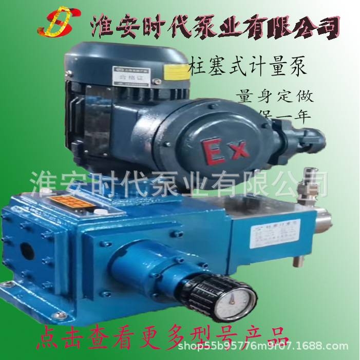 柱塞泵  计量泵  柱塞式计量泵  调量泵  单柱塞泵