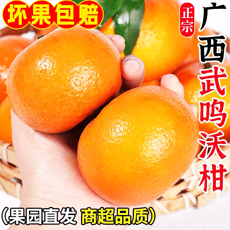 正宗广西武鸣沃柑新鲜水果当季9斤现摘蜜橘沙砂糖柑橘桔子旗舰店,水产肉类/新鲜蔬果/熟食,桔子,淘宝优惠券,粉丝福利购,淘宝优惠卷