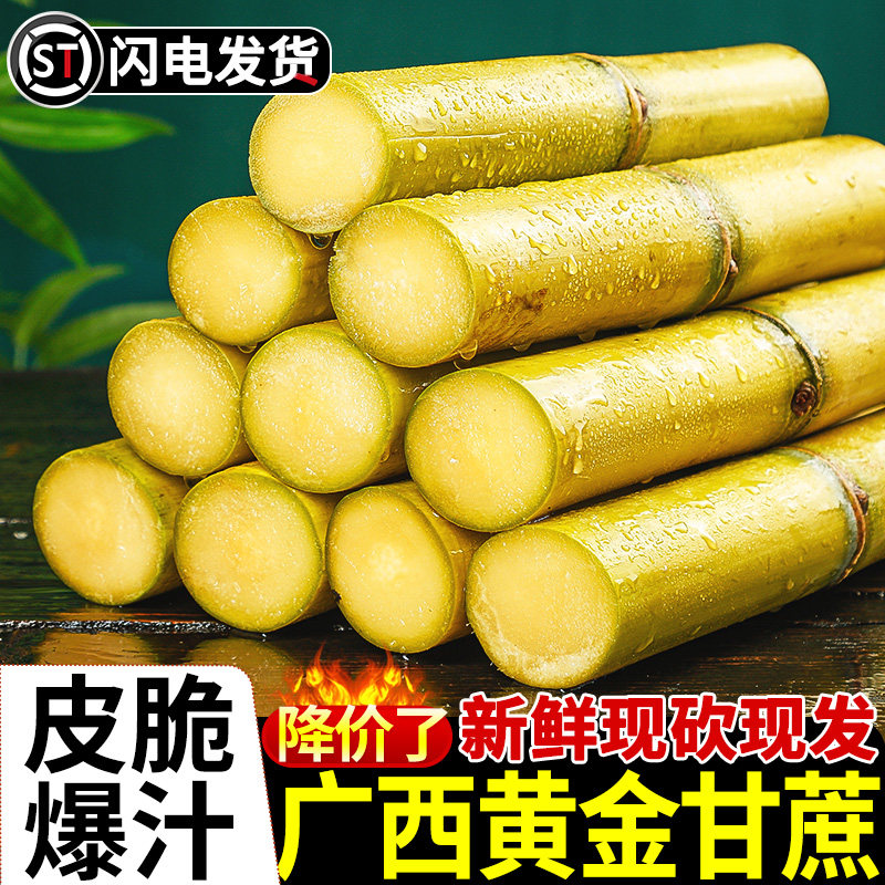 【顺丰包邮】广西黄皮甘蔗!精选