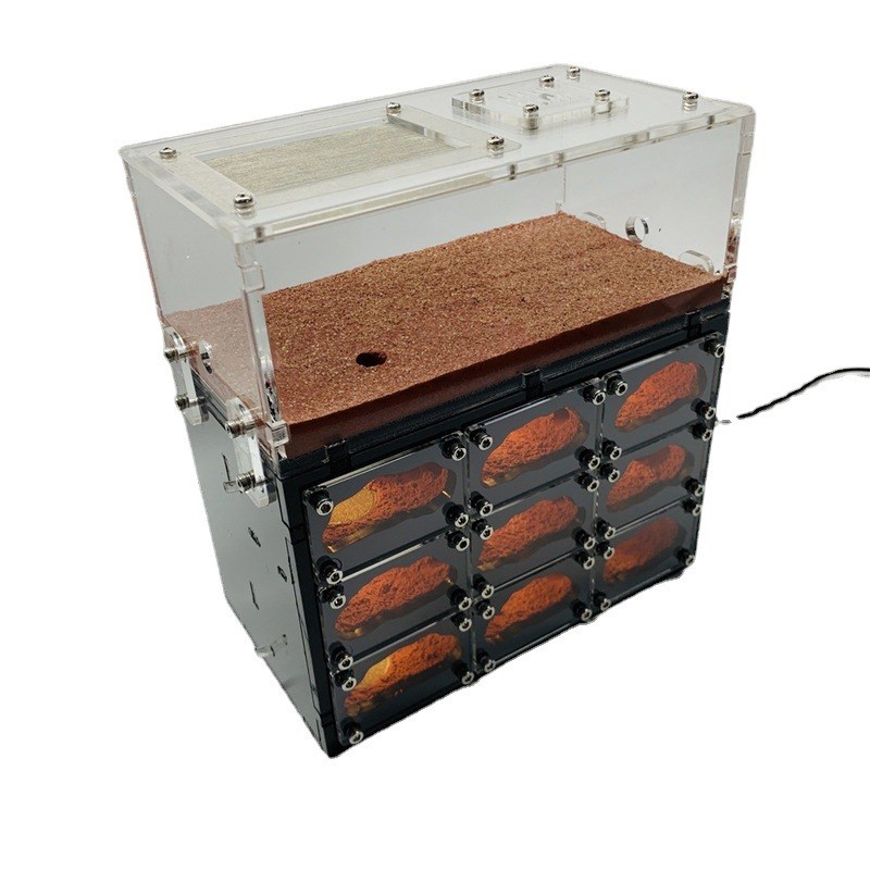 蚂蚁窝 亚克力蚂蚁王国城堡生态箱 立体保温宠物城堡工坊家园巢穴