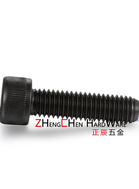 TDB01带聚缩醛止动螺栓型杯头内六角固定缓冲动螺CBPP8-20 30 40