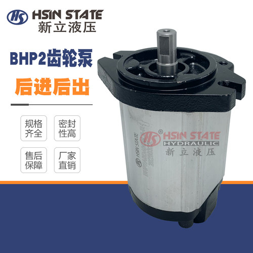 齿轮泵BHP2A0D40C0L3-R/D3/D4/D6/D8/D10/D12/D14/D16/D18C0L3-R