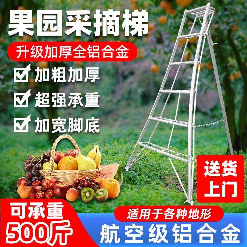 铝合金果园梯子园艺三脚梯农用果树采摘梯修剪梯凳园林专用三角梯
