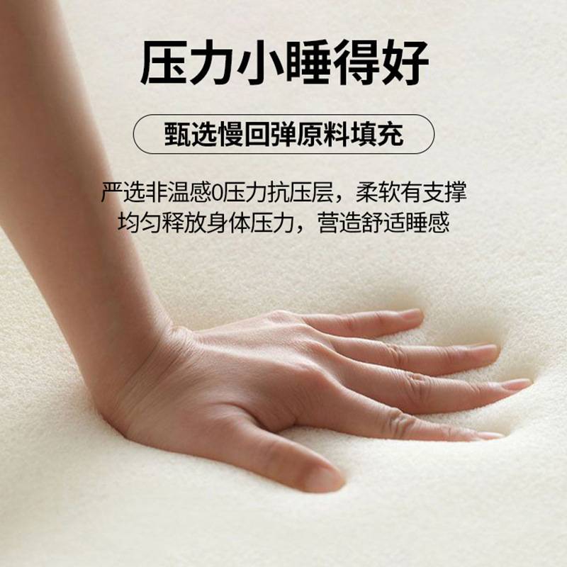新款榻榻米垫子床垫软垫家用床褥垫褥子宿舍学生单人租房专用垫被