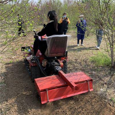 农用带式耕机大马力履小型耕田田犁地机果多功能园大棚履DEK带犁