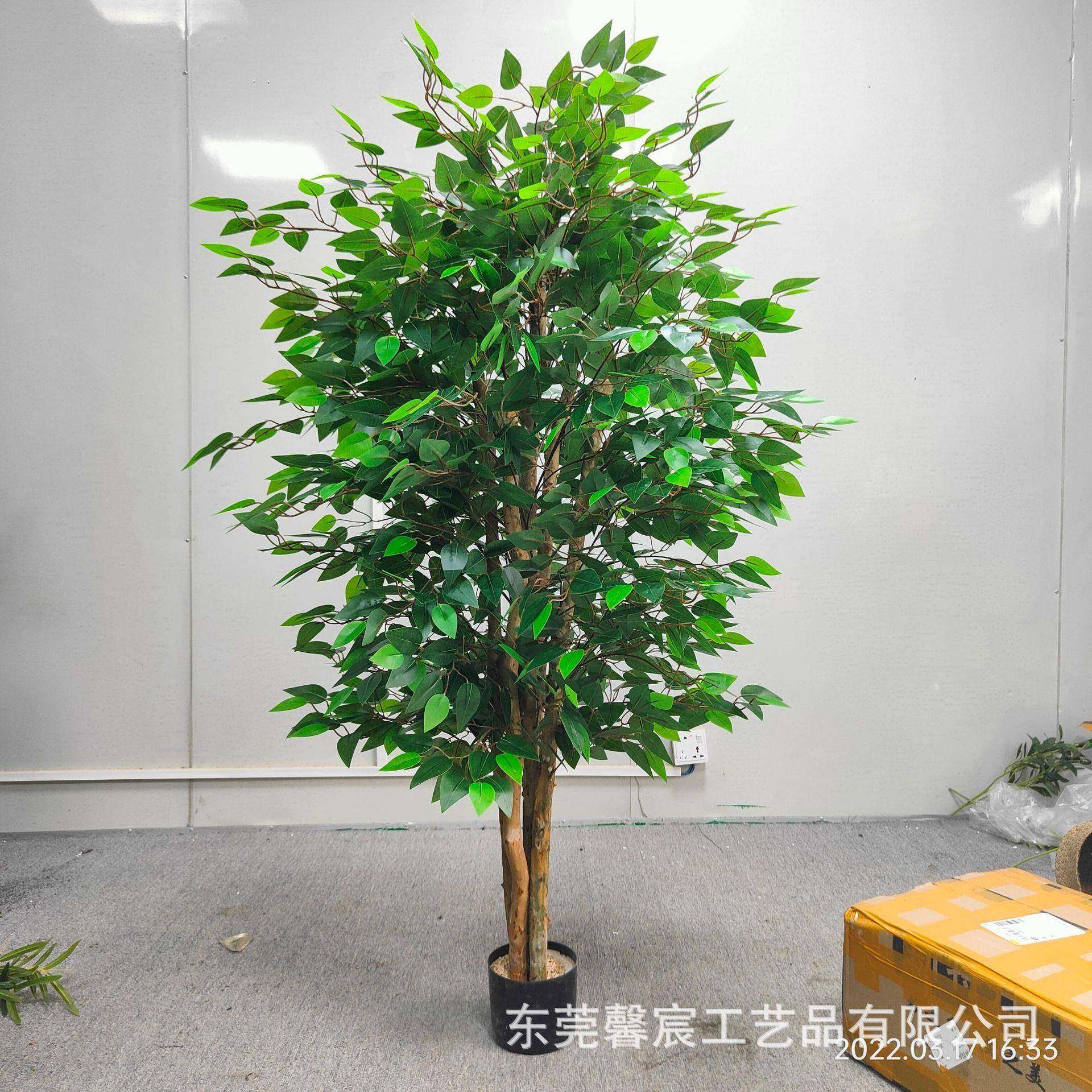 仿真内榕树饰真木杆迷BMD你榕树盆栽室小叶榕仿真绿植仿真树装假