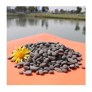 造阳江核电站滤油池垫层362卵石建筑抛地光铺景路石子暖黑色鹅豆