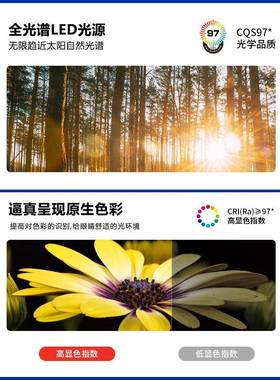 Ra97全光谱护眼吸顶童房间高亮能客厅卧灯儿室灯超S04083智薄