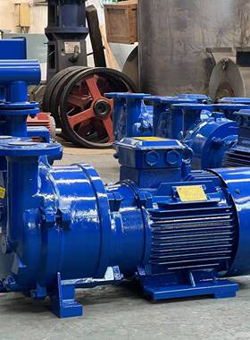 压2BV真空泵工用抽气泵真260空负业不泵锈钢SK型真空机组