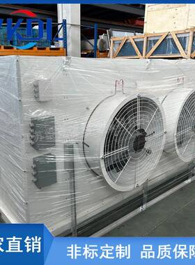 维德利非36506标准DDDL/DJ/网罩式冷风机轴流机风水冲克霜果蔬冷