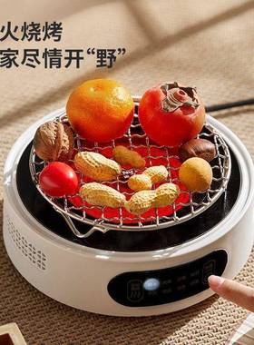 围煮茶专用电陶炉煮茶室炉内家用电茶器壶玻璃耐高茶壶TWP茶具套