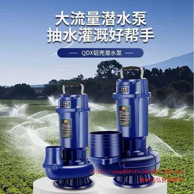 德国进2QDVX潜水电口泵单相20高扬程全铜抽水机大口径BEE5寸6寸农