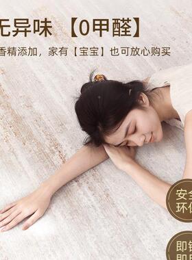 新款式极简F98J5HT7地毯客意厅2轻25新款防水奢室内免洗可擦沙发0