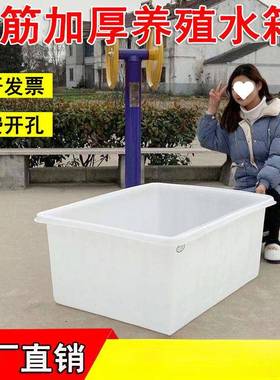 塑盆料FWQ水箱长形筋加厚大号浅周转箱方纺织箱养鱼养龟水产养牛