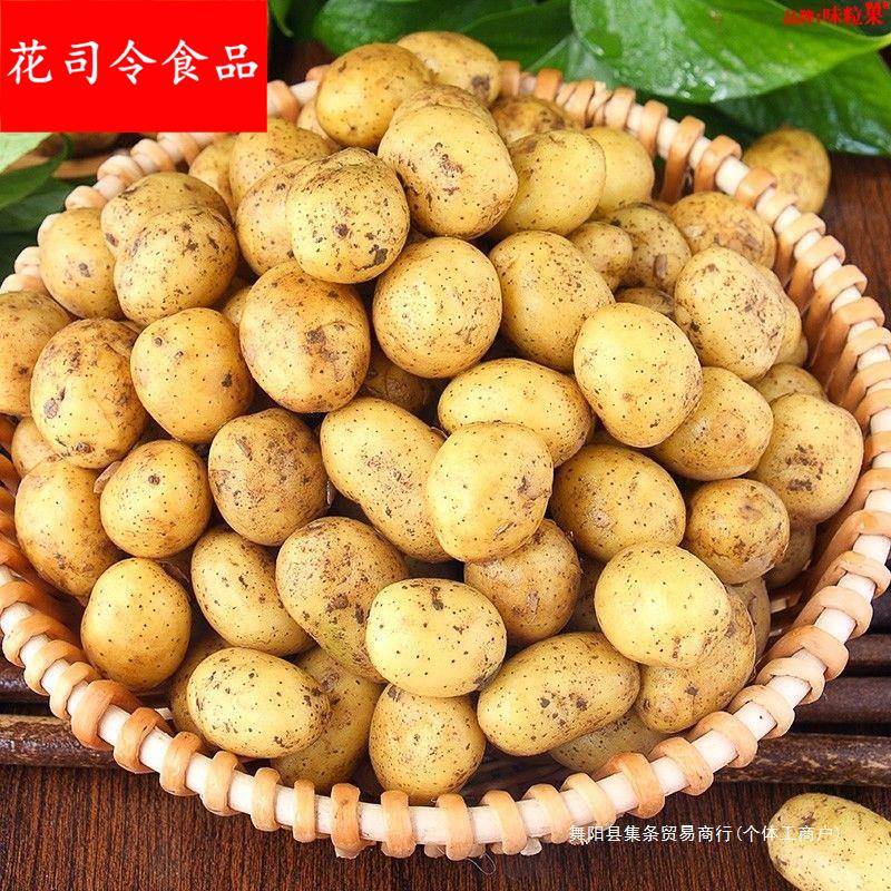 §湖北现挖恩施富硒小土豆新鲜黄心土豆批农家自种洋芋马铃薯粉糯
