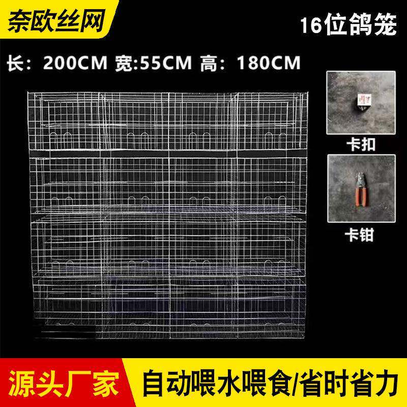 鸽子用用具4层16位养殖鸽子肉鸽笼EYS种繁殖鸽配对笼加品粗养殖笼