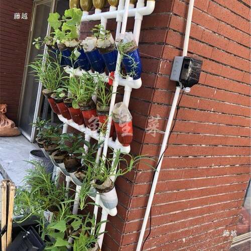 菜鱼共生透明虹吸花架多肉植土物水H-YSC-01培潮汐统系无栽培可
