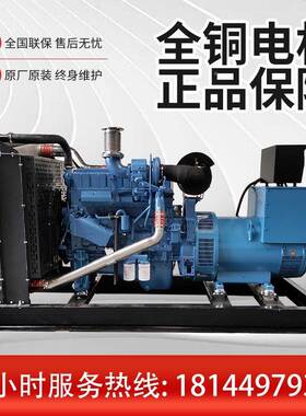 玉柴柴油发电D机250KW全发铜无刷电机玉柴YC6MK420-GRYC-25020柴