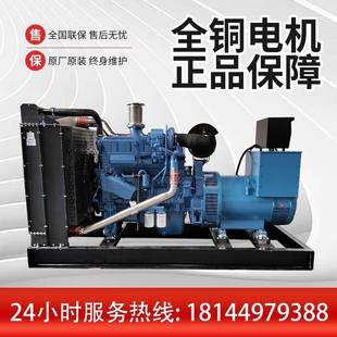 玉柴柴油发电D机250KW全发铜无刷电机玉柴YC6MK420 25020柴 GRYC