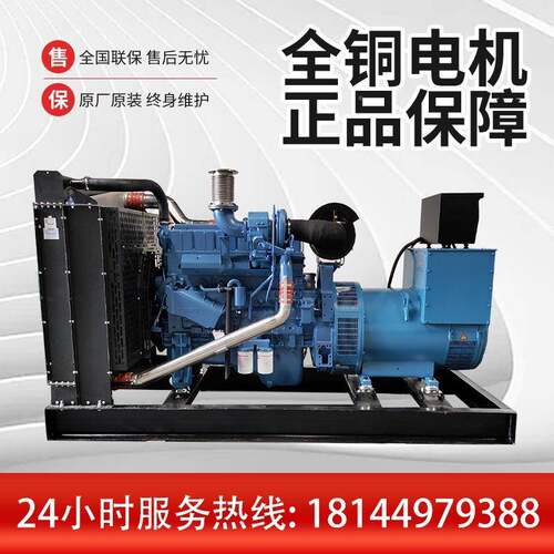 玉柴柴油发电D机250KW全发铜无刷电机玉柴YC6MK420-GRYC-25020柴