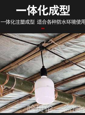 鸡鸭防水灯头养殖头养殖补温场大棚设灯光备RYL灯舍仔猪保箱用