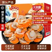 天海藏去壳扇贝肉无冰衣无沙净重1.5kg 带黄肉厚饱满 箱