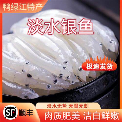 淡水银鱼鸭绿江银鱼冷冻水产宝宝辅食面条鱼顺丰包邮