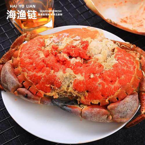 海渔链面包蟹熟冻600-800g/只黄道蟹膏蟹母蟹珍宝蟹海鲜水产