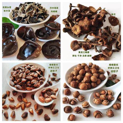 东北特产野生蘑菇榛蘑黑木耳礼盒黑龙江伊春松子榛子坚果干果礼包