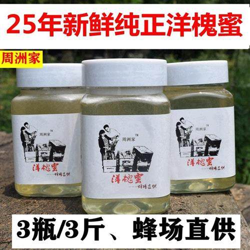 周洲家洋槐花蜜纯正天然农家自产野生成熟正宗真原蜜无添加土蜂蜜