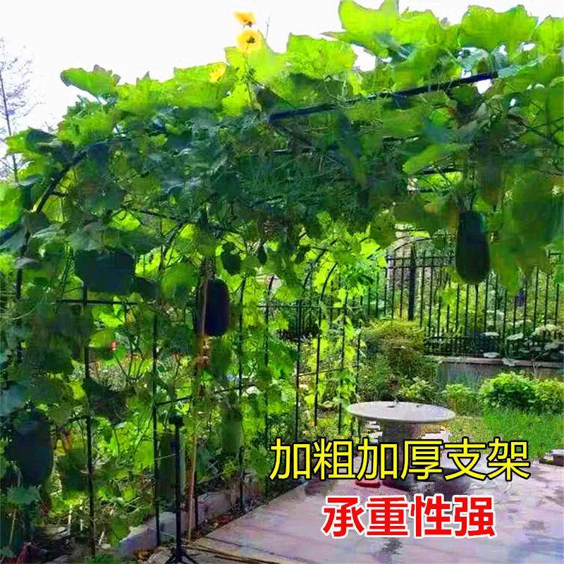 防架拱艺涛家具门花架爬藤月花季蔷薇葡萄架子户外庭院装锈饰植物