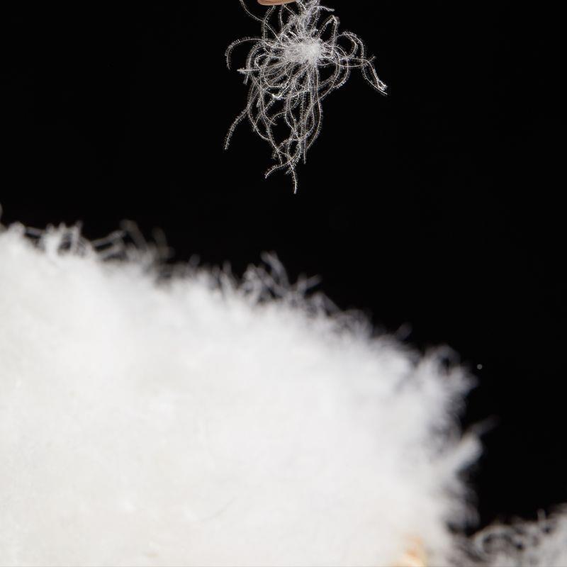 鸿泰羽绒厂家零直销95白鸭高绒DHC高蓬松清洁被服装羽绒原材料售