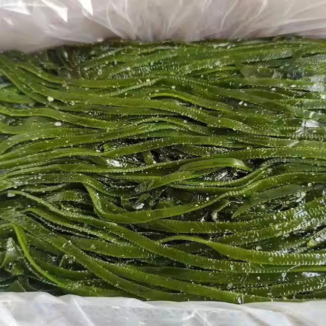 新鲜海货盐渍海带丝海带厚丝整箱5斤装凉拌专用火锅食材批发年货