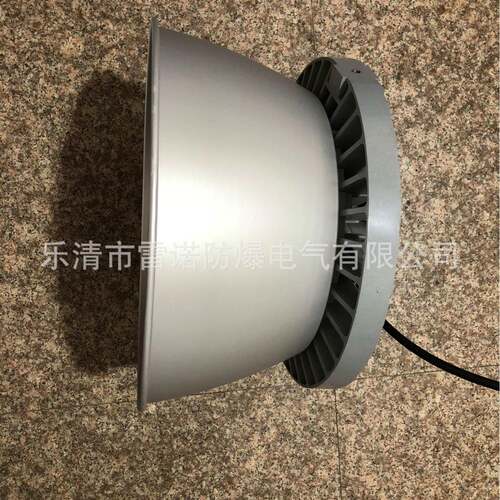 DJMNGC98223LED高顶2灯,NG983C-30WLED生产厂家
