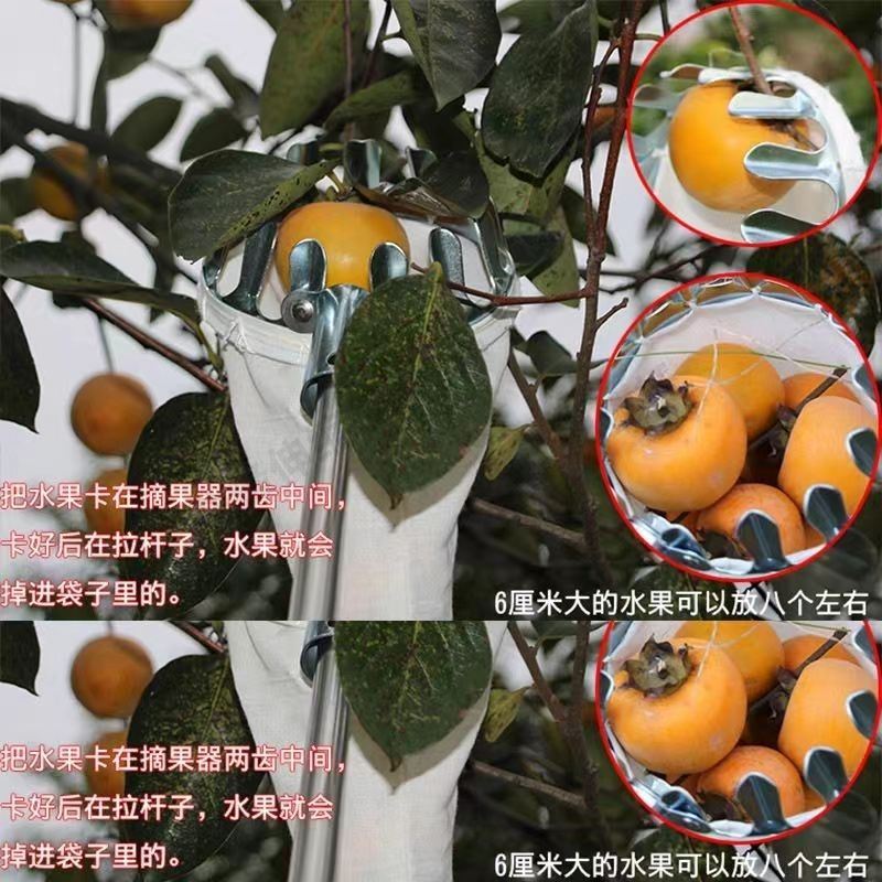 高空摘果神器摘柿子香椿四季采摘杆摘桃杏李子多功能不锈钢伸缩杆
