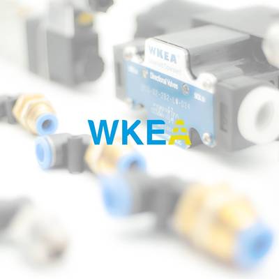 Legris8内六角油51704口堵450头6200