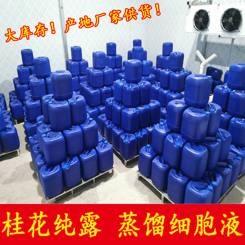 桂花纯露 鲜桂花细胞液 鲜桂花蒸馏水 25KG/桶