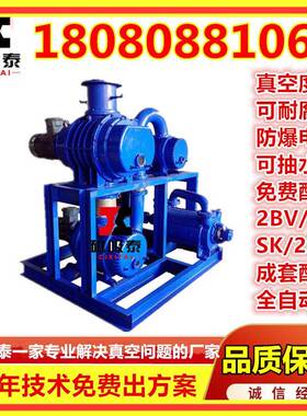 JZJ2B70-2..12真空机tZJP70-30-增15罗茨HGL压泵2组BV2061水环真