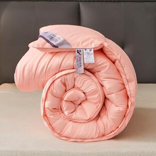 宾馆民宿冬被被58585858子羽丝绒被加店厚秋暖保被芯酒被子宿舍双