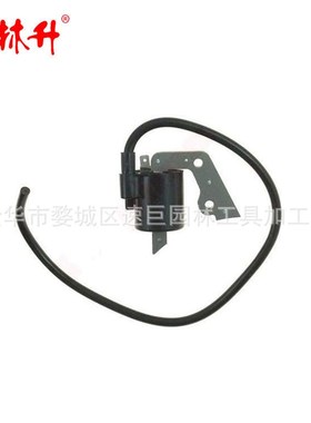 林升FA210 FA210D FA210R  21171-2167 21171-2112 高压包